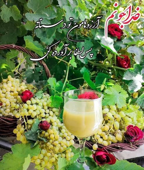  عکس انگور برای پروفایل