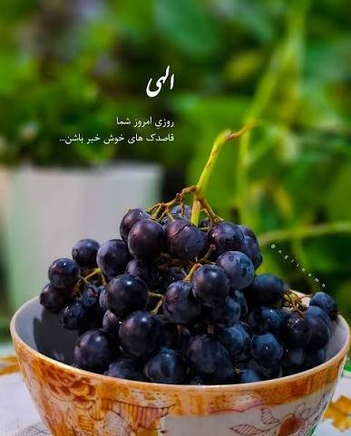  عکس انگور برای پروفایل
