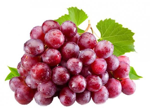  عکس پروفایل انگور قرمز باران خورده