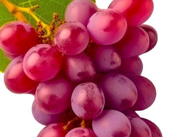  عکس پروفایل انگور قرمز باران خورده