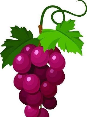  عکس انگور فانتزی