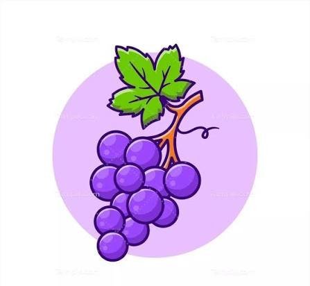  عکس انگور فانتزی