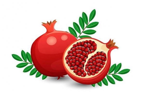  نقاشی انار زیبا