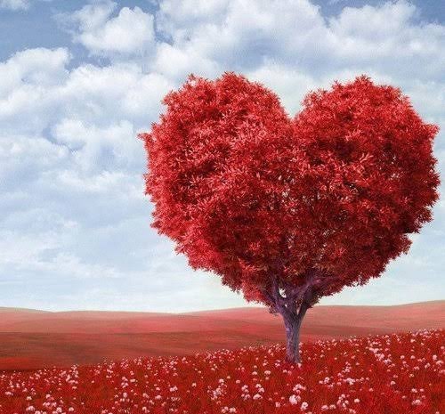  عکس منظره رمانتیک