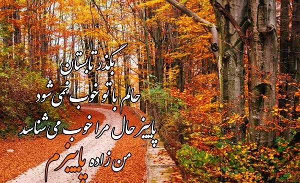  عکس منظره رمانتیک