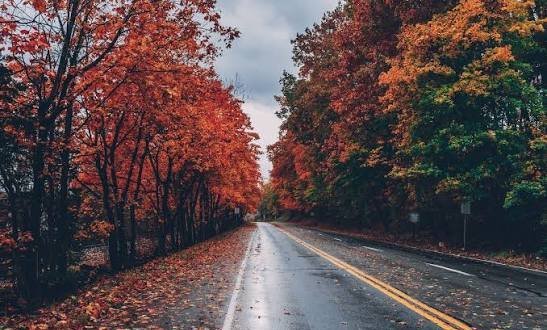  عکس پس زمینه منظره رمانتیک پاییزی