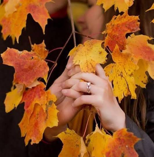  عکس پس زمینه منظره رمانتیک پاییزی