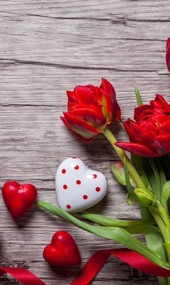  والپیپر رمانتیک گل رز برای گوشی موبایل