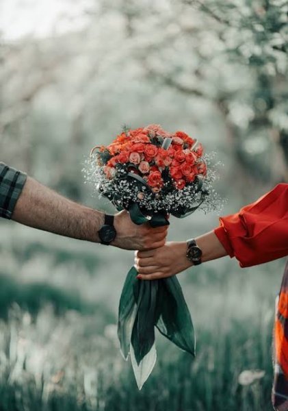  والپیپر رمانتیک گل رز برای گوشی موبایل