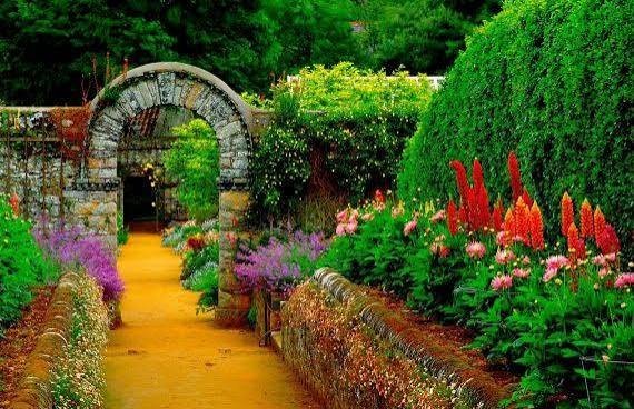  عکس طبیعت و منظره زیبا و رویایی