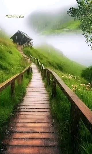  عکس طبیعت و منظره زیبا و رویایی