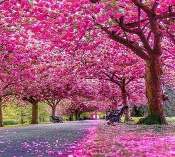  عکس طبیعت فوق العاده زیبا برای پروفایل