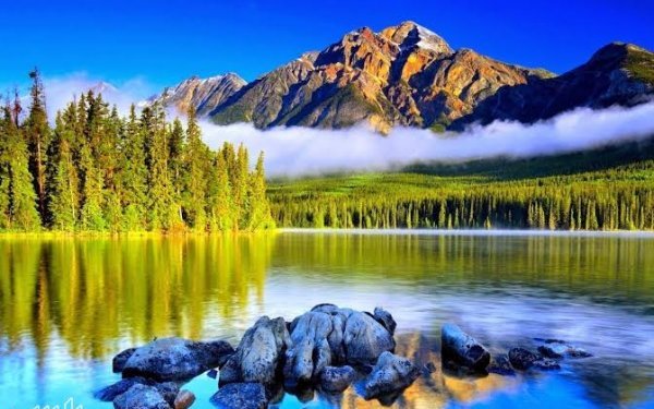  عکس طبیعت فوق العاده زیبا برای پروفایل