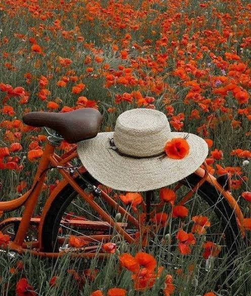  عکس طبیعت فوق العاده زیبا برای پروفایل