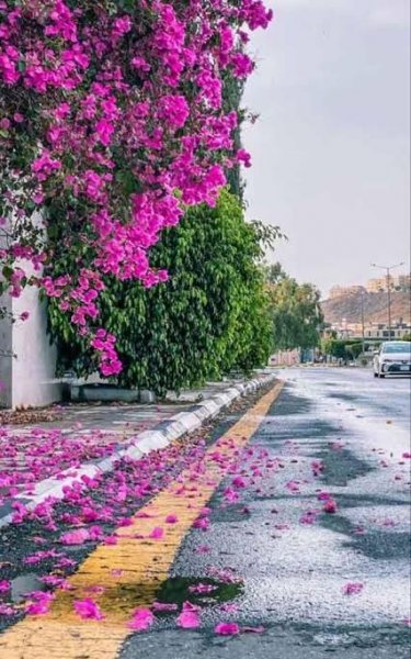  عکس طبیعت فوق العاده زیبا برای پروفایل
