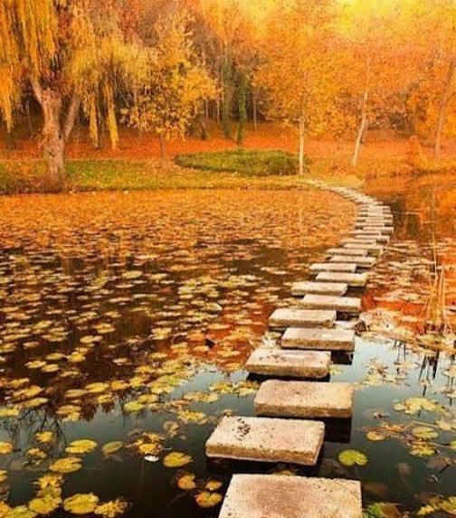  عکس طبیعت فوق العاده زیبا برای پروفایل