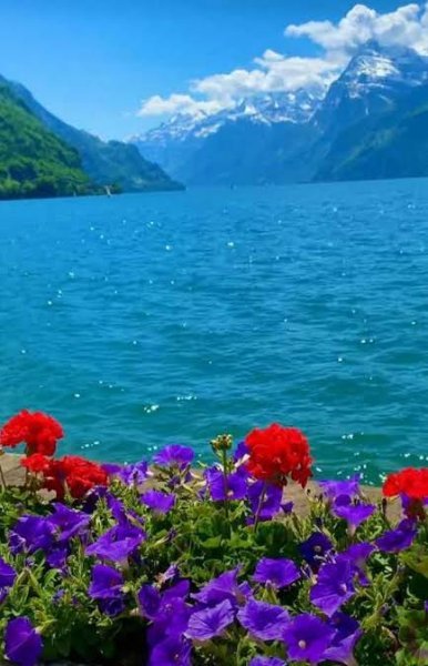  عکس طبیعت فوق العاده زیبا برای پروفایل