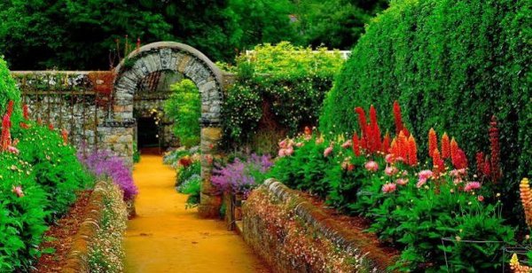 عکس طبیعت فوق العاده زیبا برای پروفایل