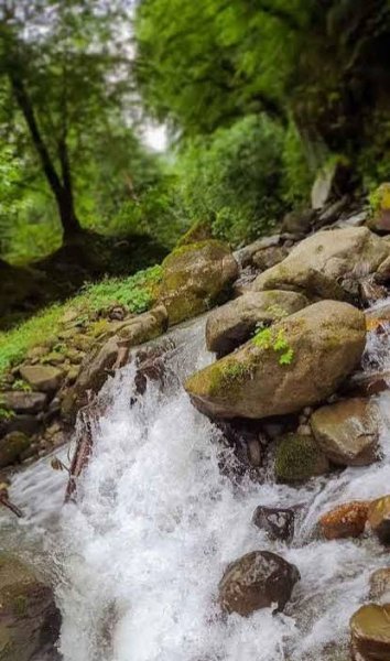  عکس طبیعت فوق العاده زیبا برای پروفایل