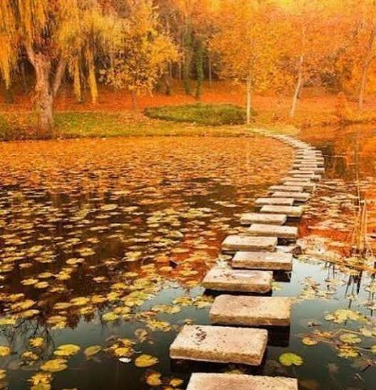  عکس رمانتیک جنگل پاییزی برای پروفایل
