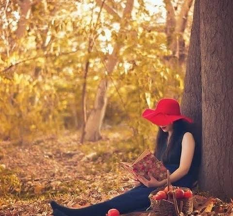  عکس رمانتیک جنگل پاییزی برای پروفایل