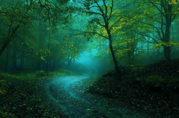  عکس سبز برای پروفایل
