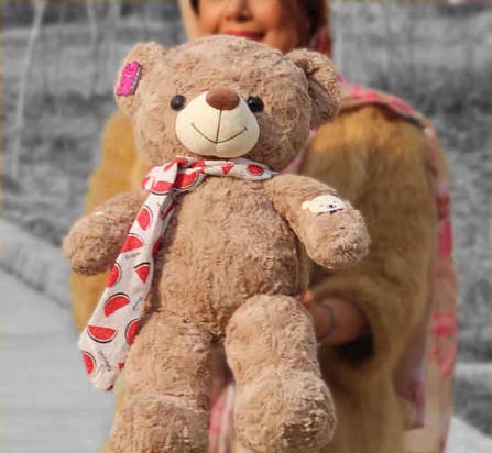 عکس خرس عروسکی قهوه ای