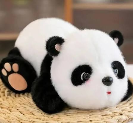  عکس پاندای گوگولی مگولی