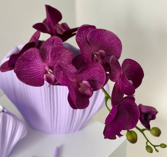  عکس گل ارکیده بنفش