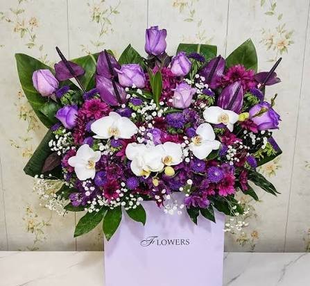  عکس گل ارکیده بنفش