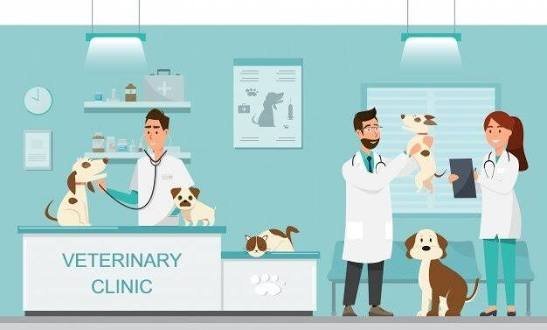  عکس کارتونی حیوانات در دامپزشکی