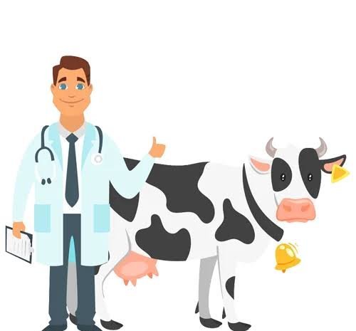  عکس کارتونی حیوانات در دامپزشکی