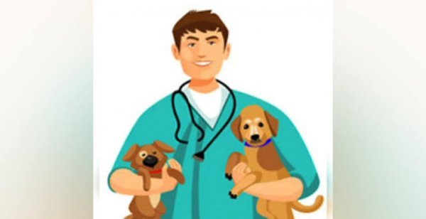  عکس کارتونی حیوانات در دامپزشکی