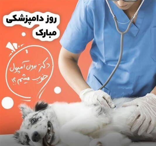  عکس دامپزشک برای پروفایل