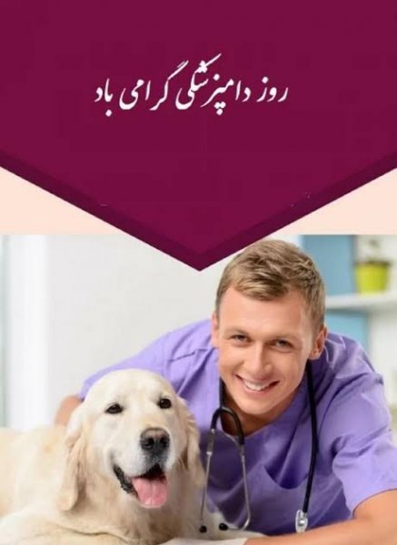  عکس دامپزشک برای پروفایل