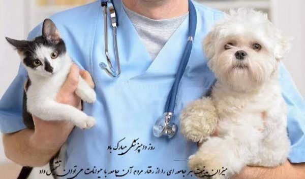  تبریک روز دامپزشک عکس