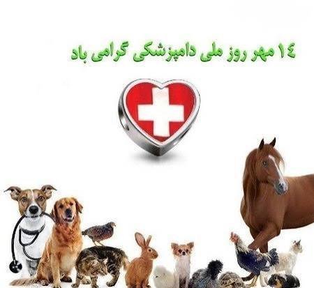  تبریک روز دامپزشک عکس