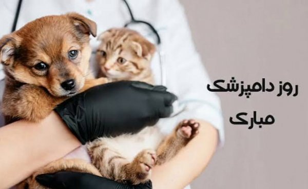  تبریک روز دامپزشک عکس