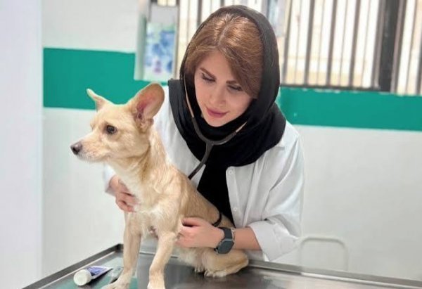 عکس دامپزشک زن
