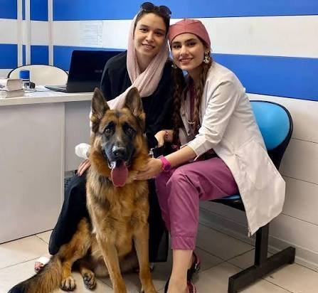 عکس دامپزشک زن