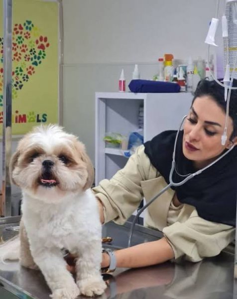  عکس دامپزشک زن