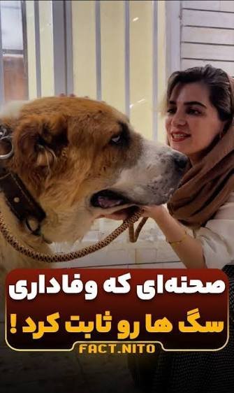  عکس خانم دامپزشک معروف اینستا
