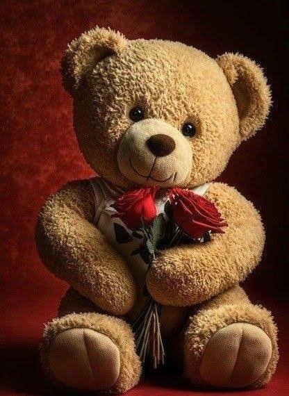  عکس خرس گوگولی برای پروفایل