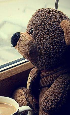  عکس خرس گوگولی برای پروفایل