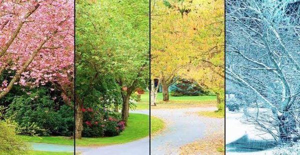  عکس چهار فصل با کیفیت