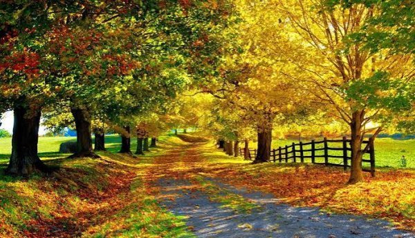  عکس چهار فصل با کیفیت