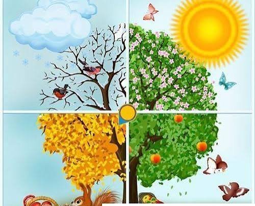  عکس چهار فصل با کیفیت