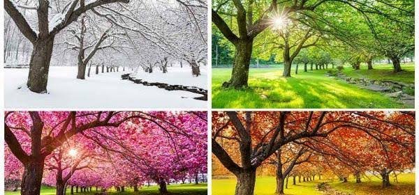  عکس چهار فصل با کیفیت