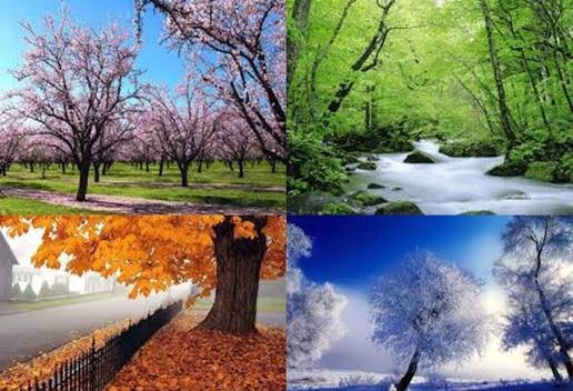  عکس چهار فصل با کیفیت