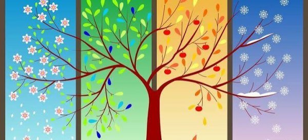  عکس چهار فصل نقاشی
